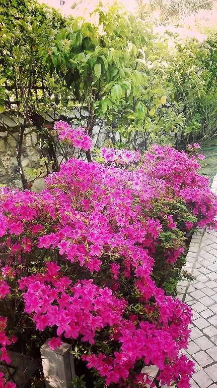 Bed & Breakfast Villa Corte Lotti B&B Pietrasanta