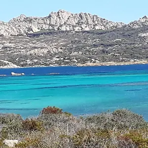 https://lasfodelo.in-sardinia.net
